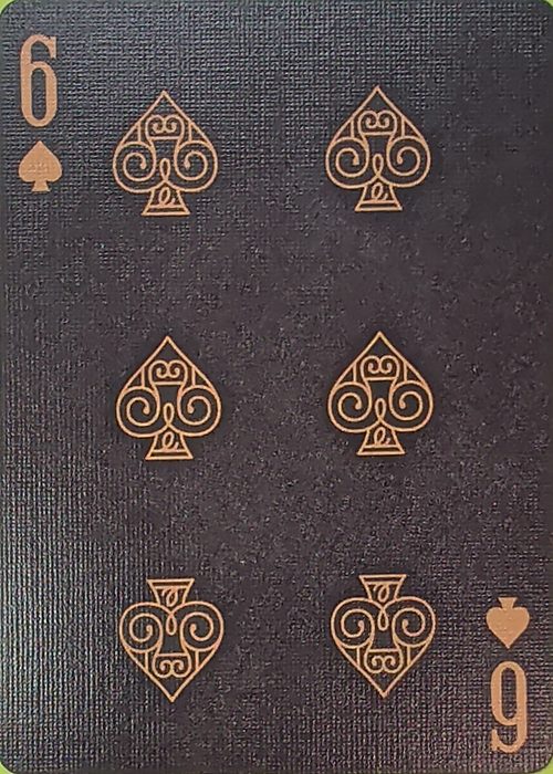 6S