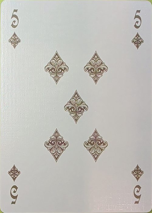 5D