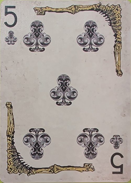 5C