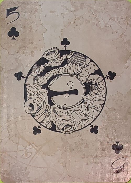 5C