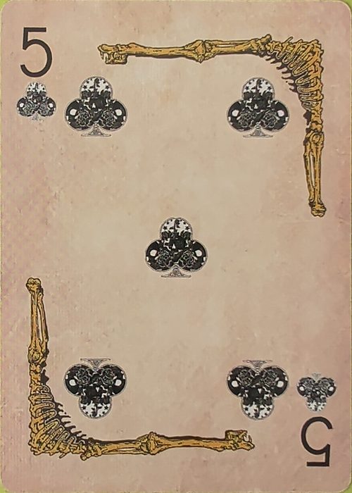 5C